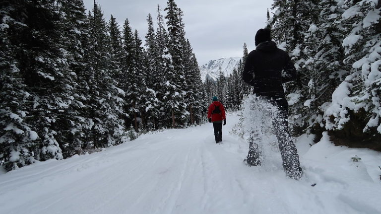 27084297999 c911878243 c 768x431