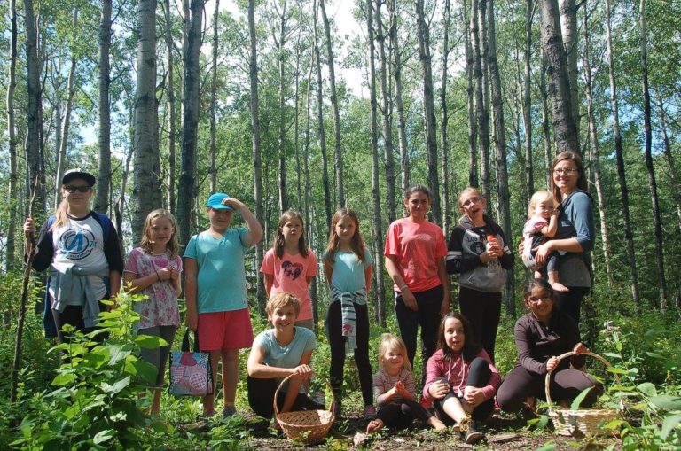 Nitehawk Summer Camps