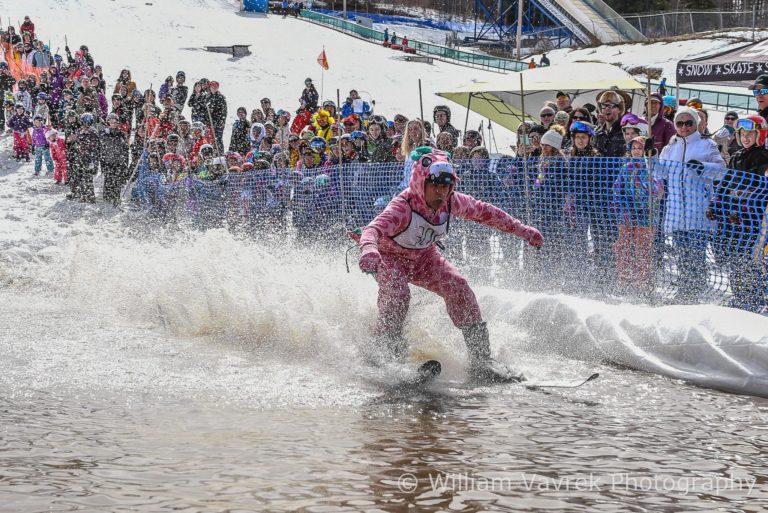 Nitehawk SLUSH Cup Event