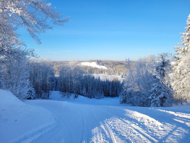 322375243 484829037066836 2023082570198583105 n 768x576