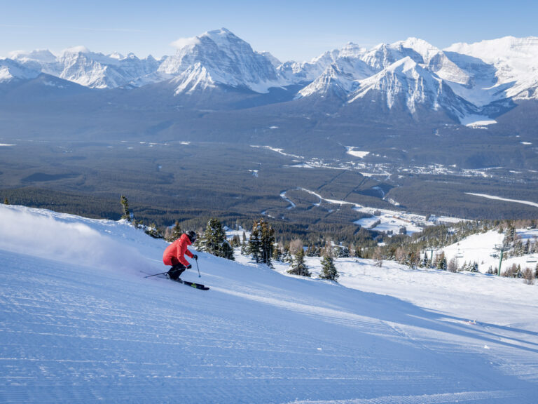 Travis Bluebird Groomers 30 1 768x576