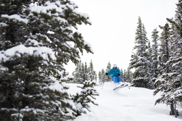 Marmot Basin Powder 11 1 768x512